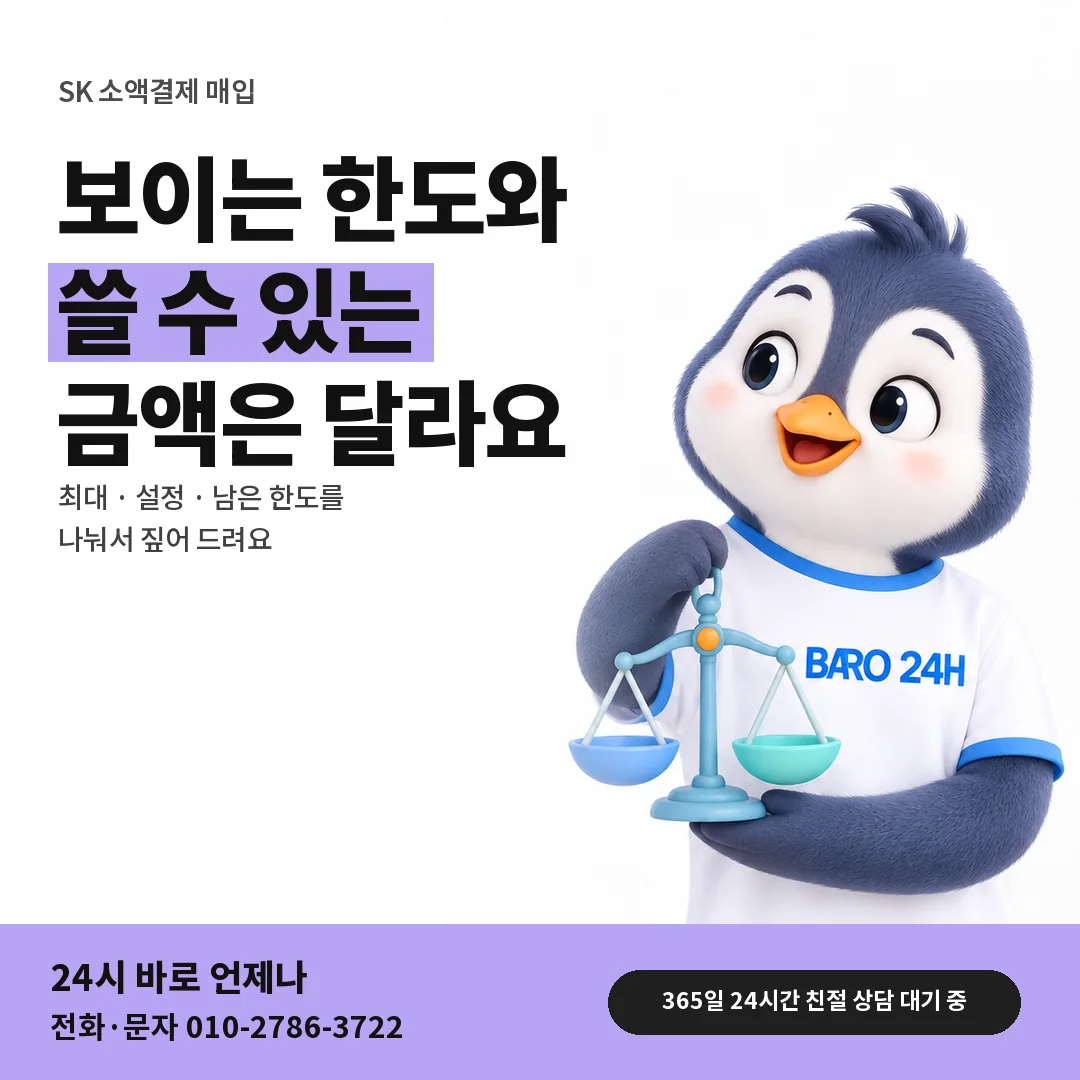 BARO 24H 티셔츠를 입은 3D 동물 캐릭터 옆에 「SK 설정 한도와 남은 한도」 제목을 얹은 안내 카드